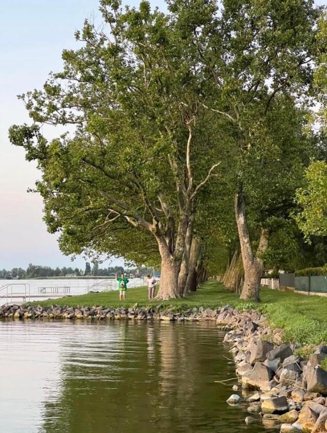 Rozsa Nyaralohaz Villa Balatonboglár Екстериор снимка