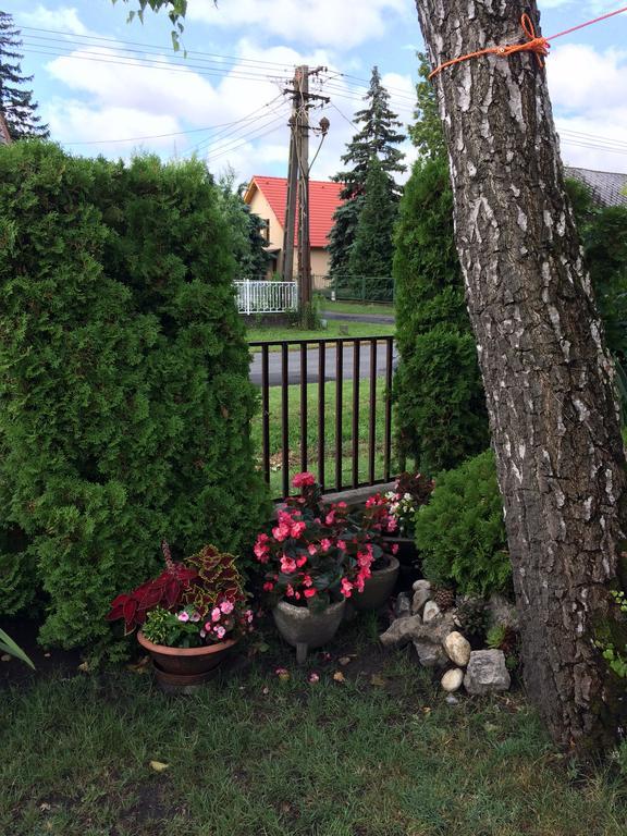 Rozsa Nyaralohaz Villa Balatonboglár Екстериор снимка